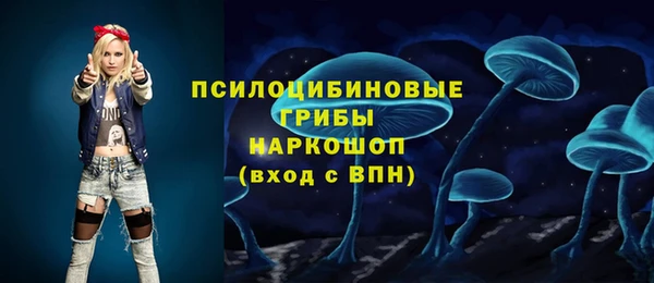 винт Кондопога