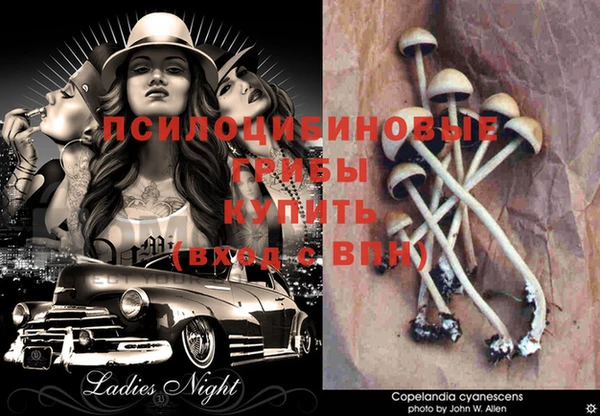 винт Кондопога