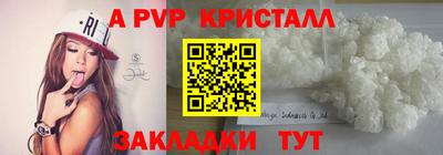 стаф Берёзовский